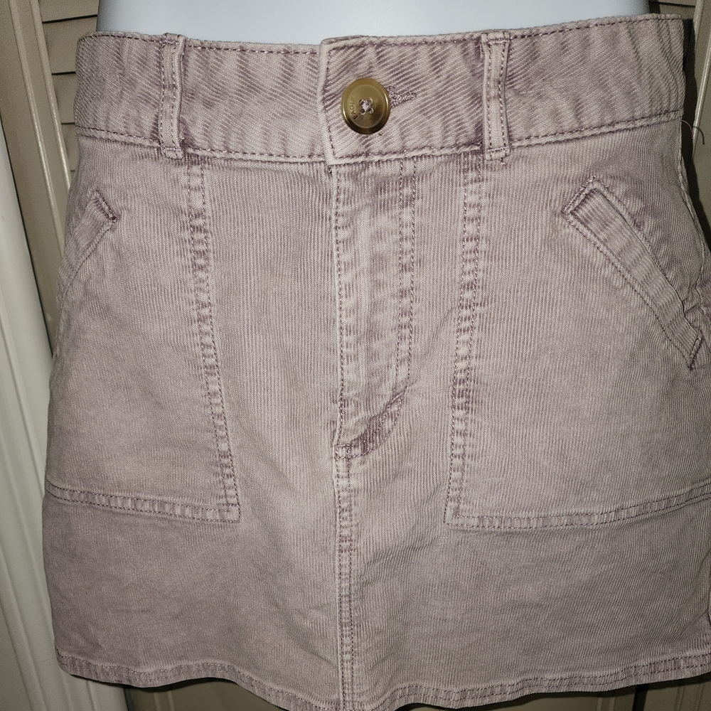 American Eagle Outfitters Mauve Mini Skirt